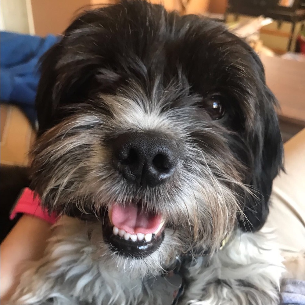 Meet your Posher, Prisci